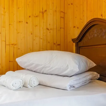 Sofion Hotel&resort * Solotvyno
