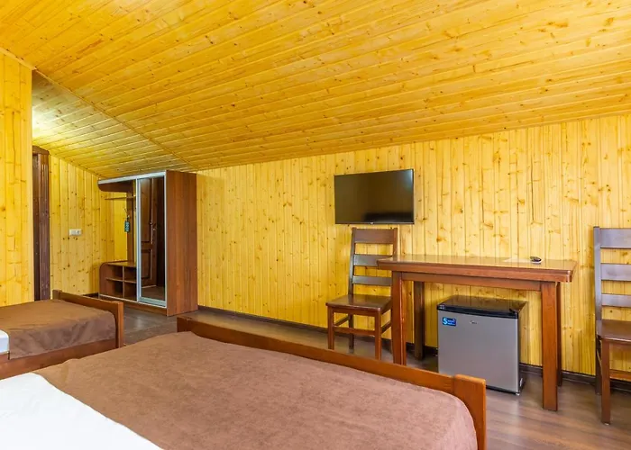 Sofion Hotel&resort Solotvyno